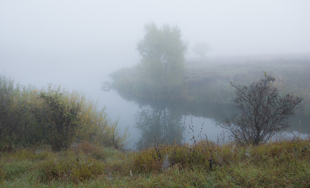 Фотографія *** / Евгений Шамай / photographers.ua
