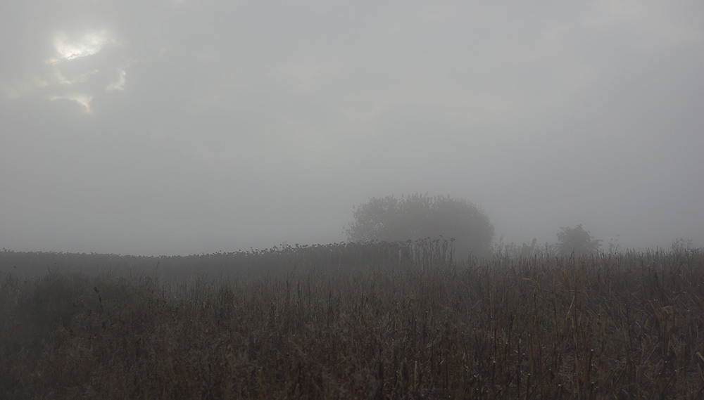 Фотографія *** / Евгений Шамай / photographers.ua