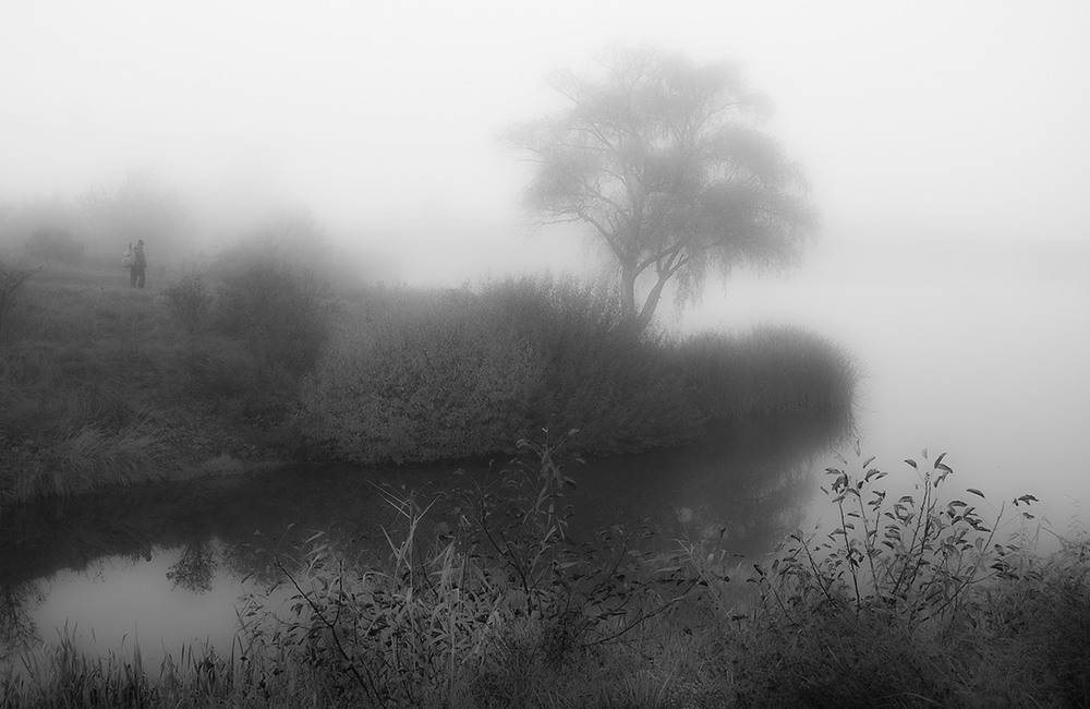 Фотографія *** / Евгений Шамай / photographers.ua