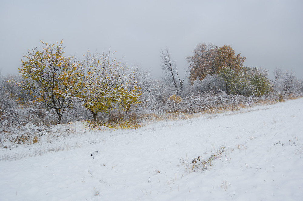 Фотографія *** / Евгений Шамай / photographers.ua