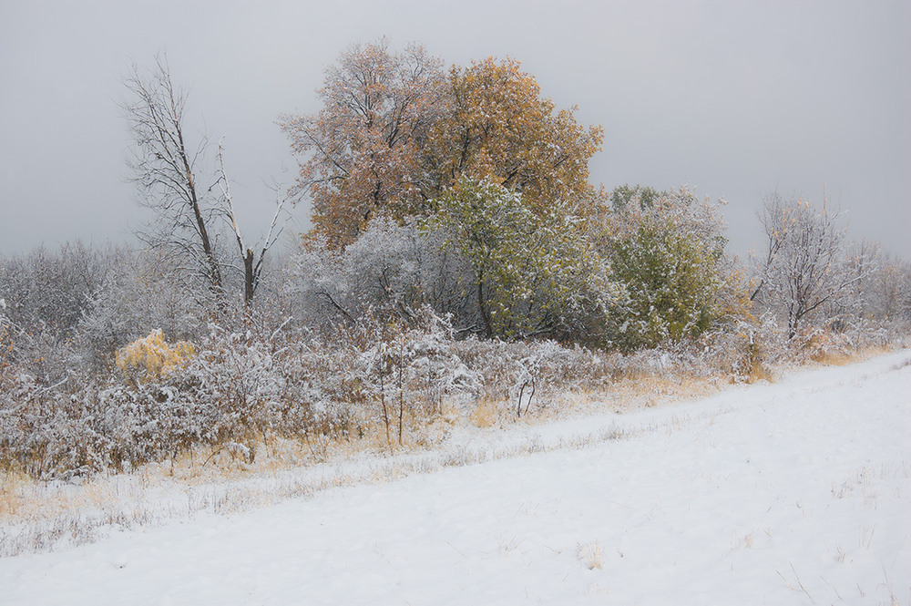 Фотографія *** / Евгений Шамай / photographers.ua