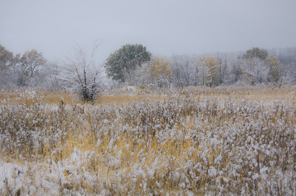 Фотографія *** / Евгений Шамай / photographers.ua