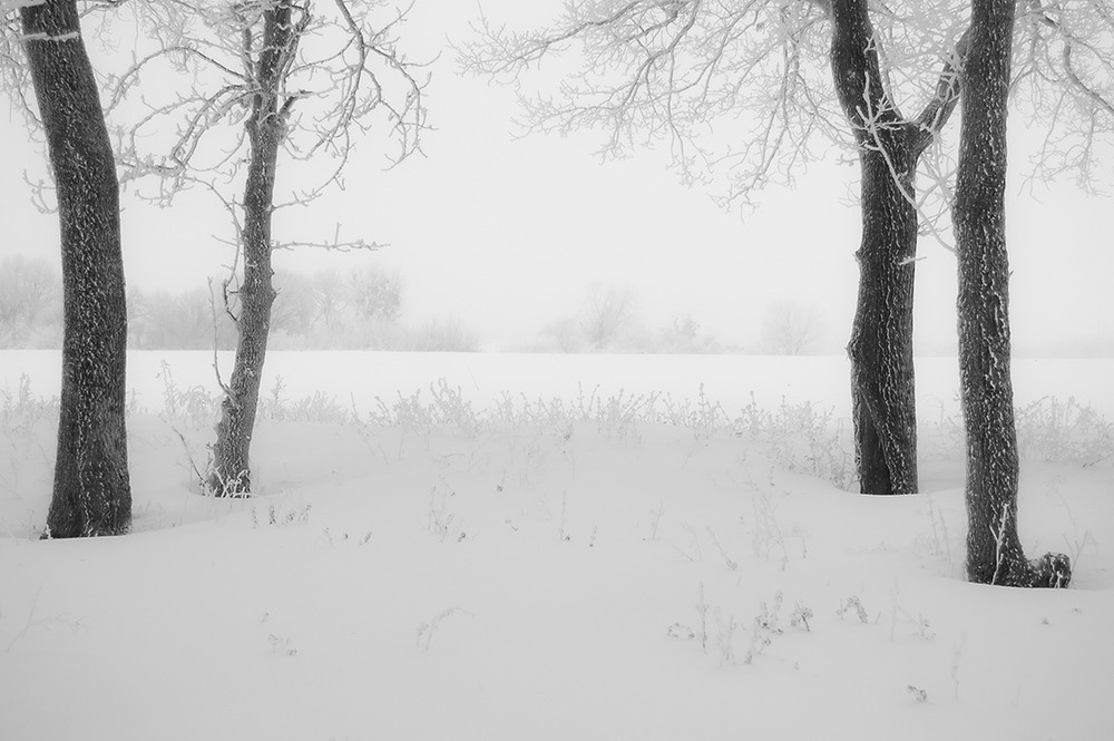 Фотографія *** / Евгений Шамай / photographers.ua
