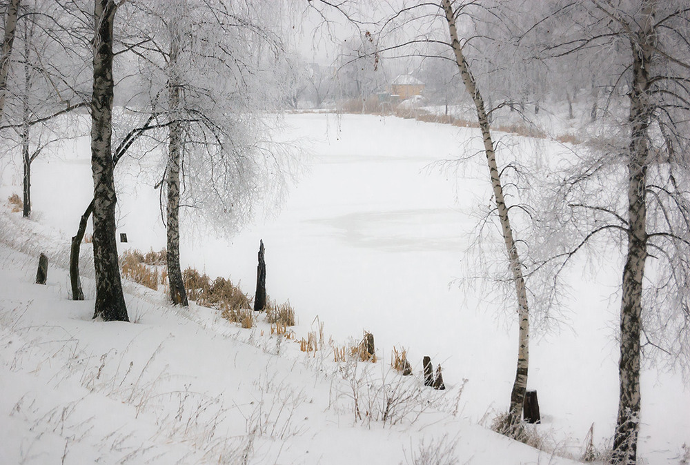 Фотографія *** / Евгений Шамай / photographers.ua