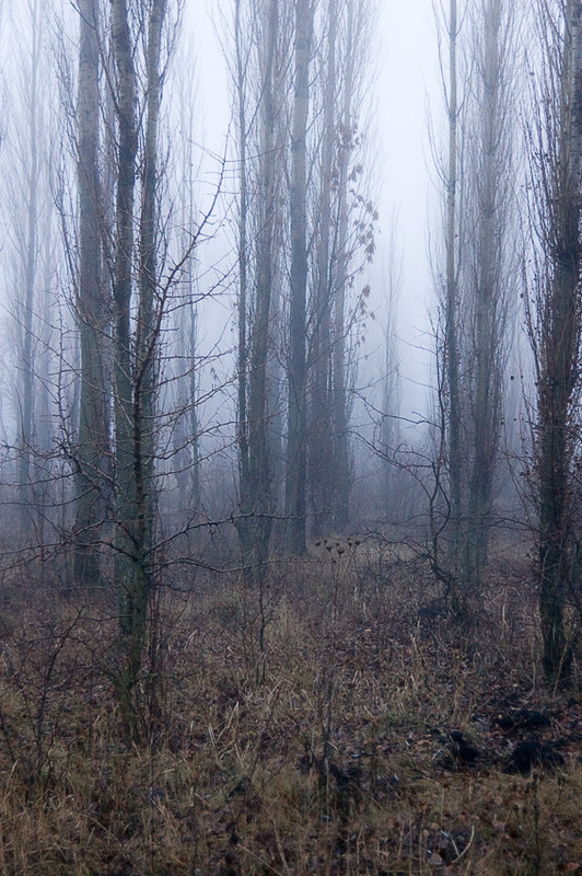 Фотографія *** / Евгений Шамай / photographers.ua