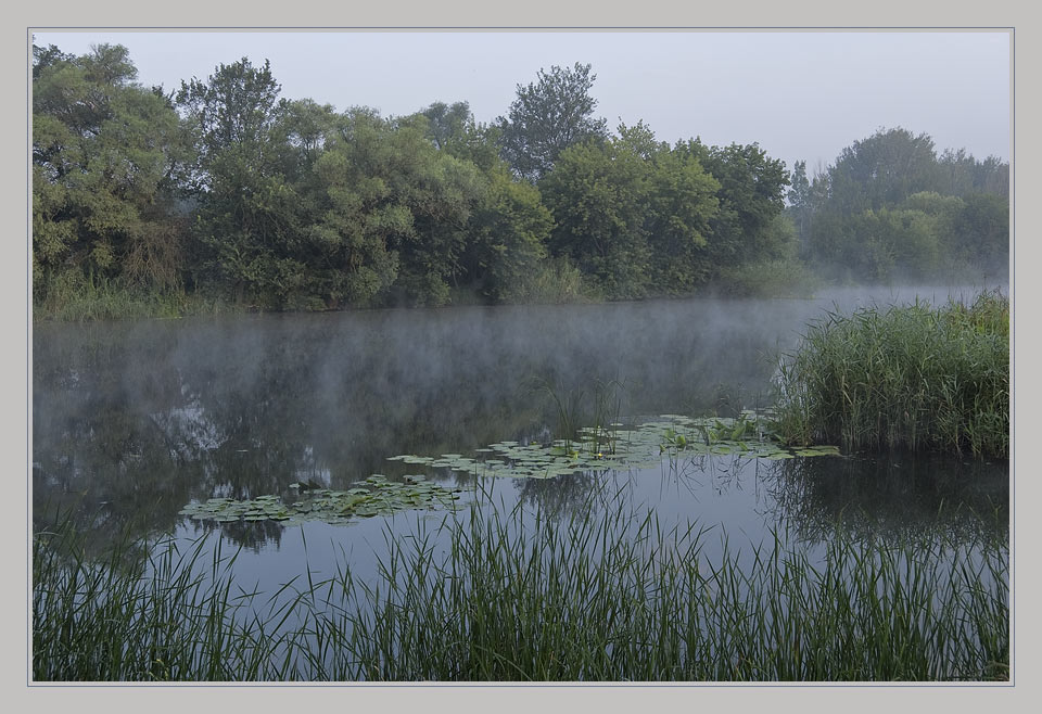 Фотографія *** / Евгений Шамай / photographers.ua