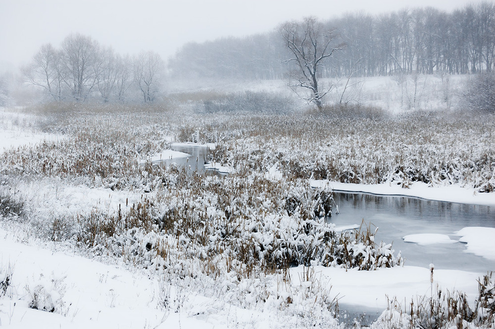 Фотографія *** / Евгений Шамай / photographers.ua