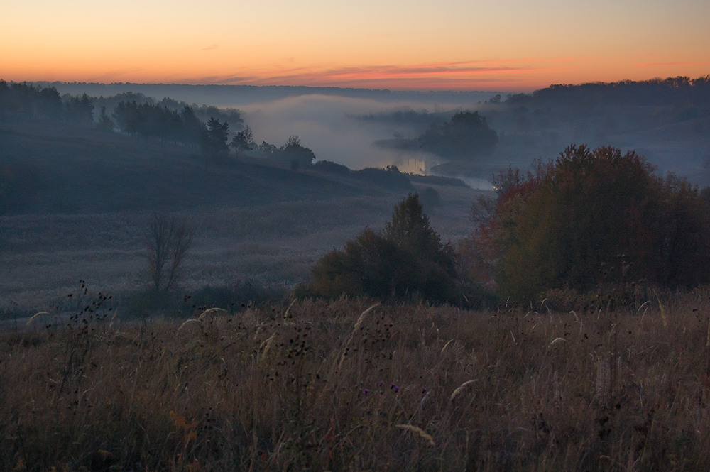 Фотографія *** / Евгений Шамай / photographers.ua
