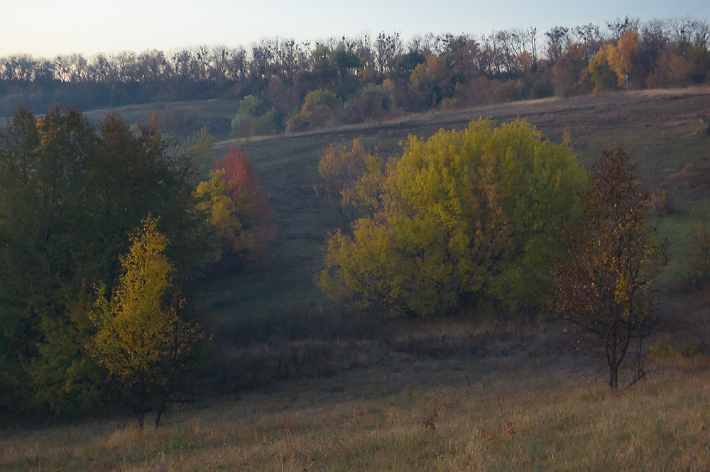 Фотографія *** / Евгений Шамай / photographers.ua
