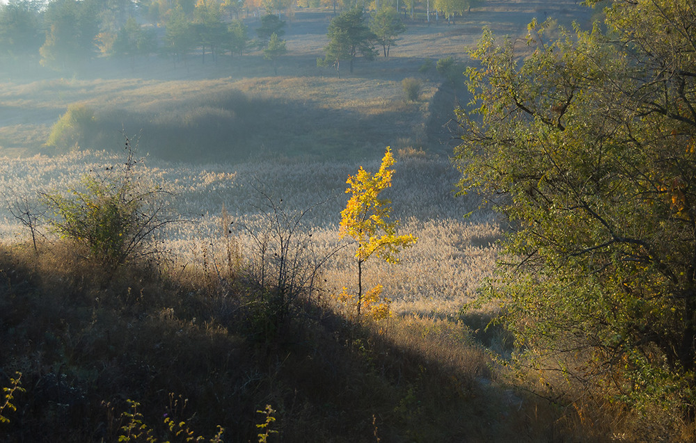 Фотографія *** / Евгений Шамай / photographers.ua