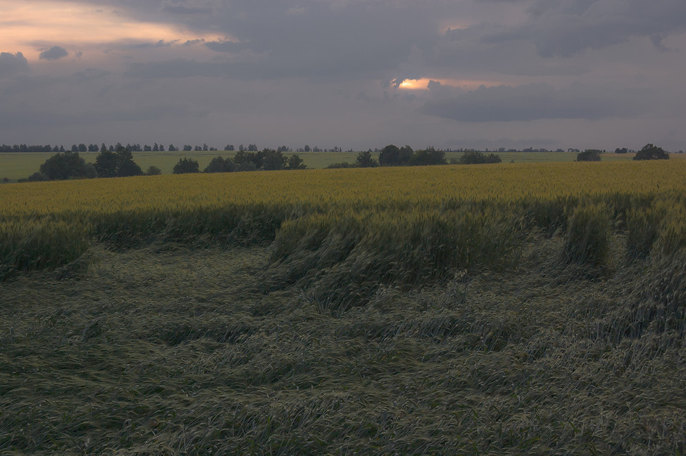 Фотографія *** / Евгений Шамай / photographers.ua