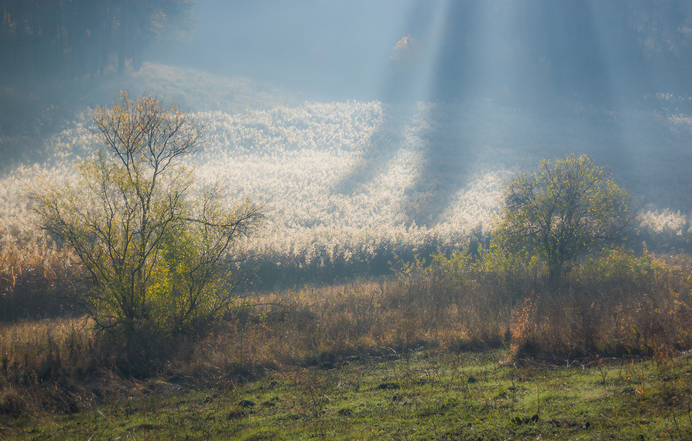 Фотографія *** / Евгений Шамай / photographers.ua