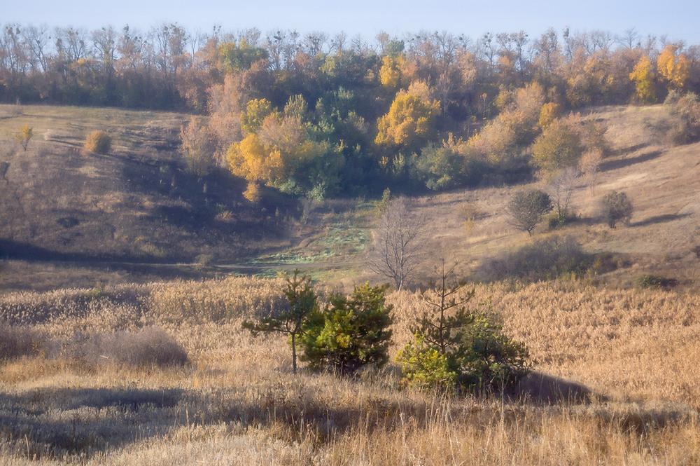 Фотографія *** / Евгений Шамай / photographers.ua