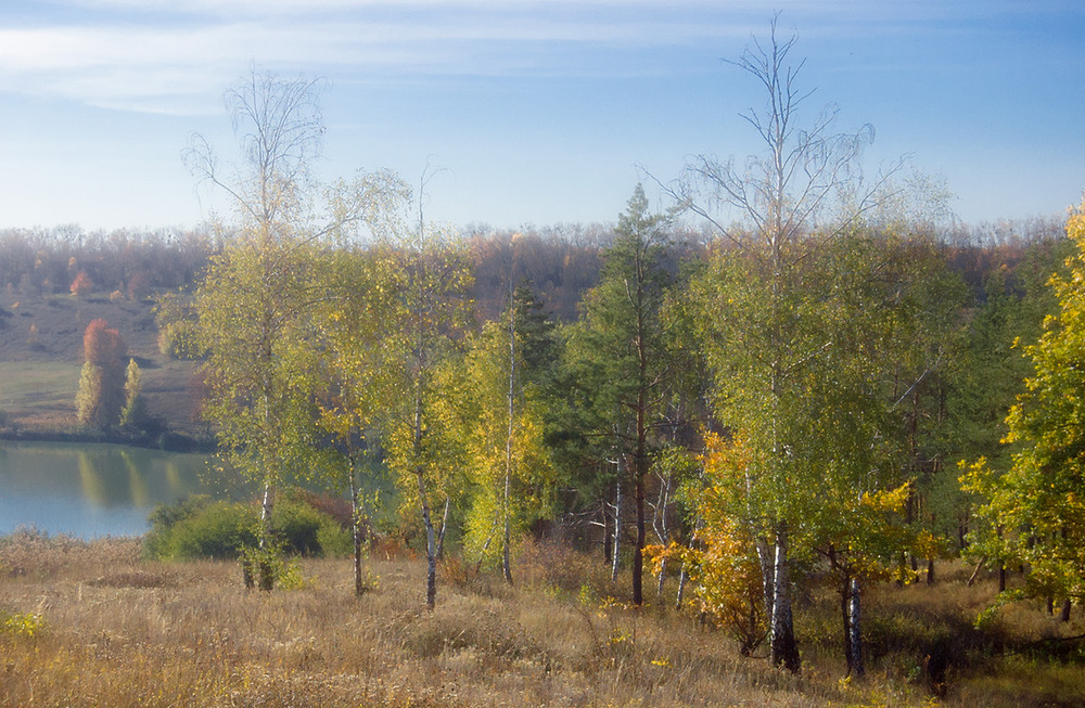 Фотографія *** / Евгений Шамай / photographers.ua