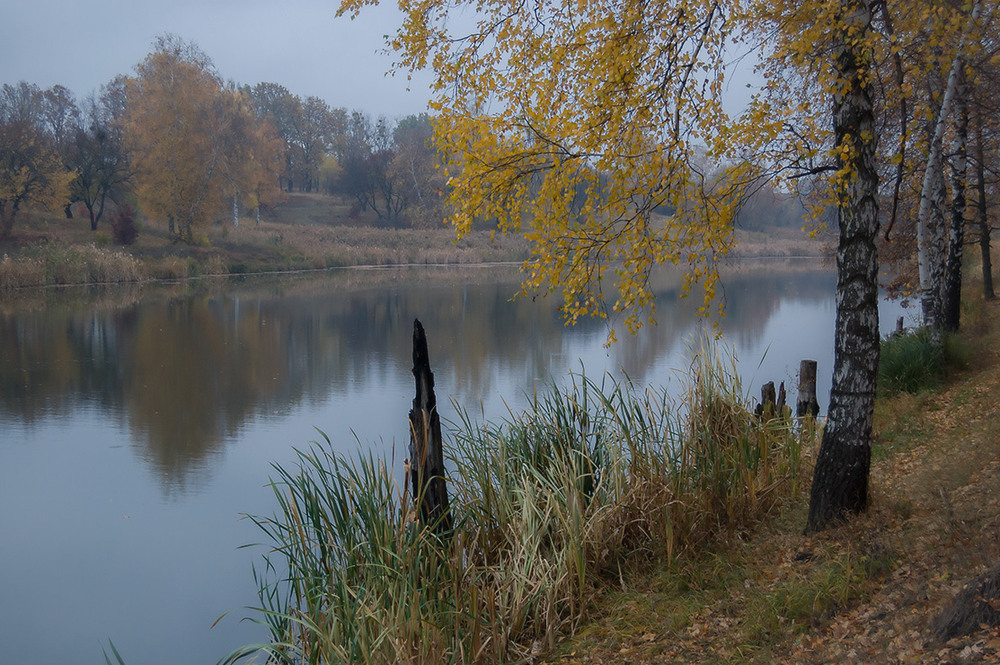 Фотографія *** / Евгений Шамай / photographers.ua