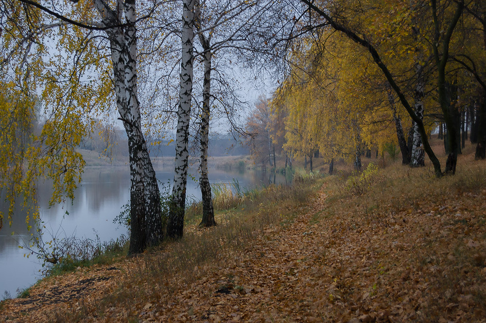 Фотографія *** / Евгений Шамай / photographers.ua