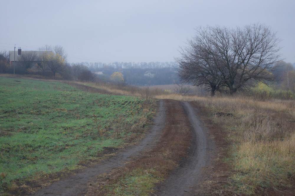 Фотографія *** / Евгений Шамай / photographers.ua