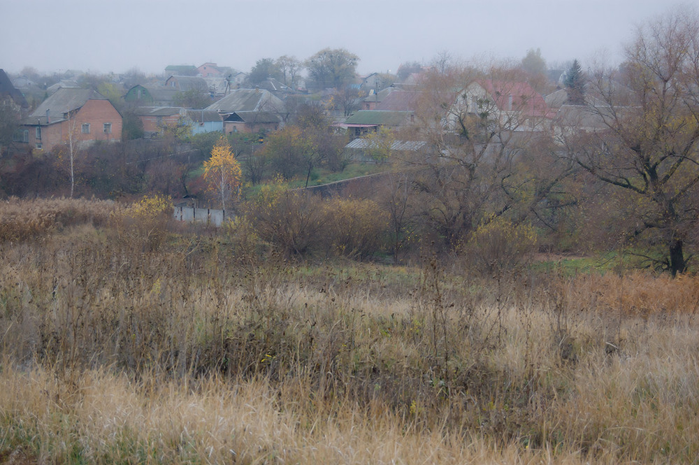 Фотографія *** / Евгений Шамай / photographers.ua