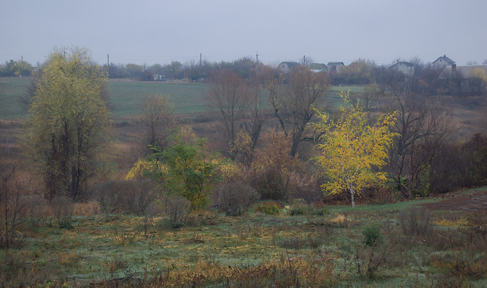Фотографія *** / Евгений Шамай / photographers.ua
