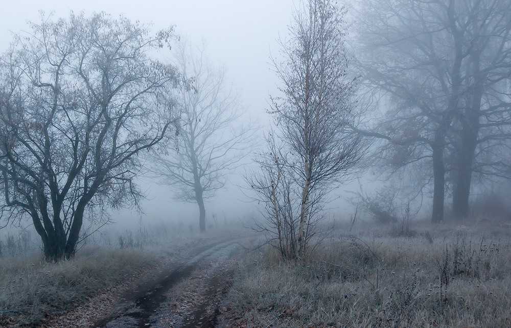 Фотографія *** / Евгений Шамай / photographers.ua