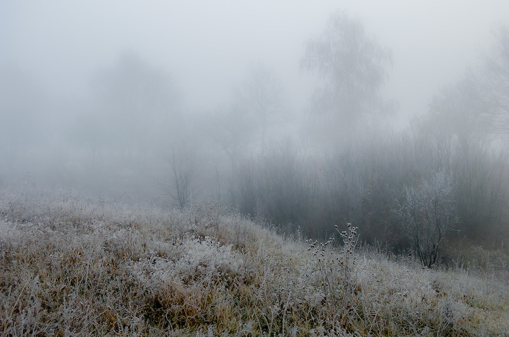 Фотографія *** / Евгений Шамай / photographers.ua