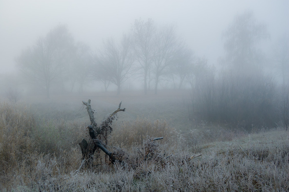 Фотографія *** / Евгений Шамай / photographers.ua