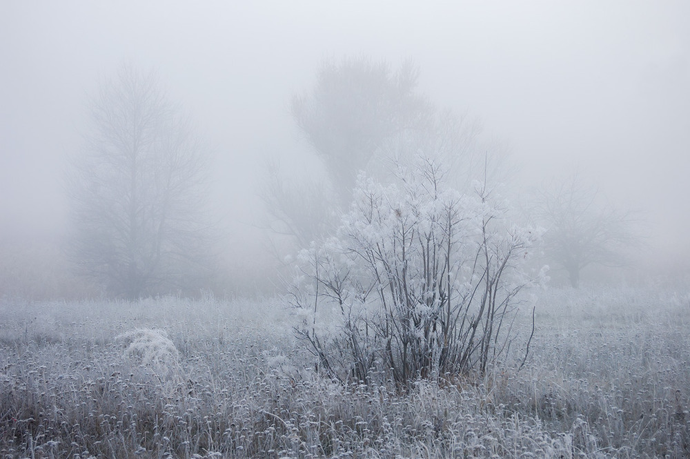 Фотографія *** / Евгений Шамай / photographers.ua