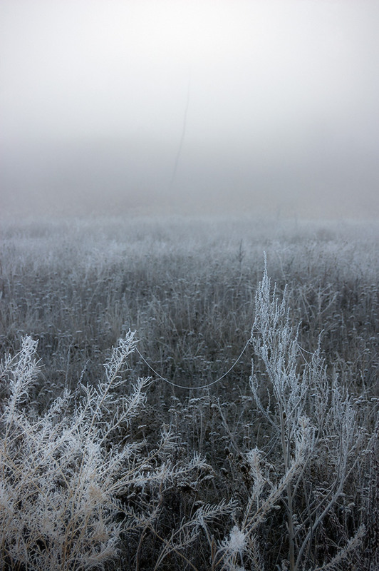 Фотографія *** / Евгений Шамай / photographers.ua