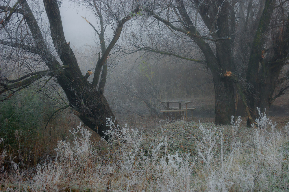 Фотографія *** / Евгений Шамай / photographers.ua