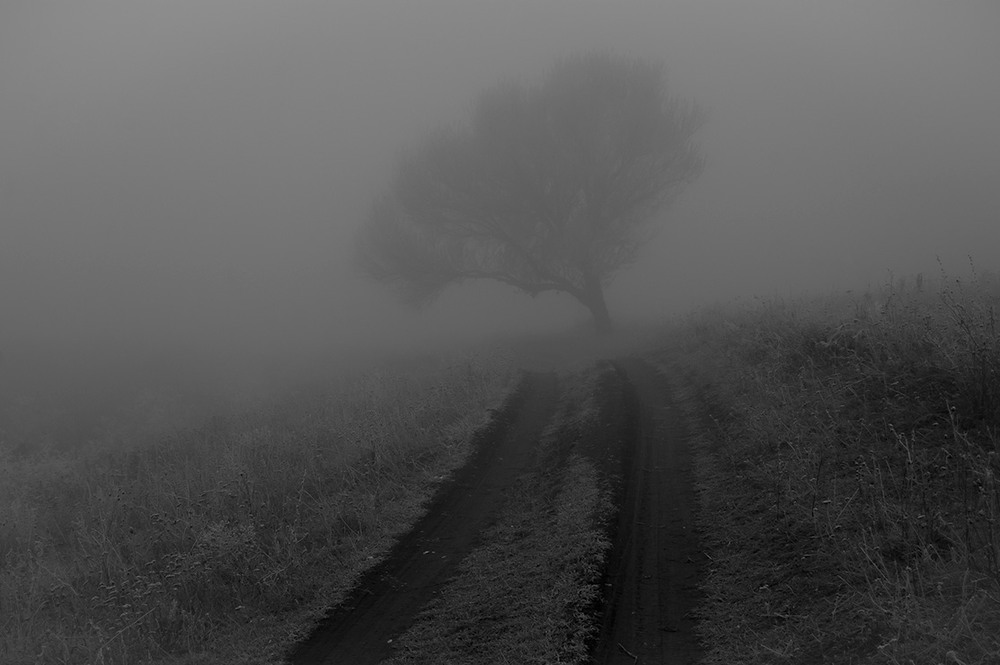 Фотографія *** / Евгений Шамай / photographers.ua