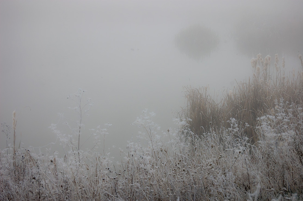 Фотографія *** / Евгений Шамай / photographers.ua