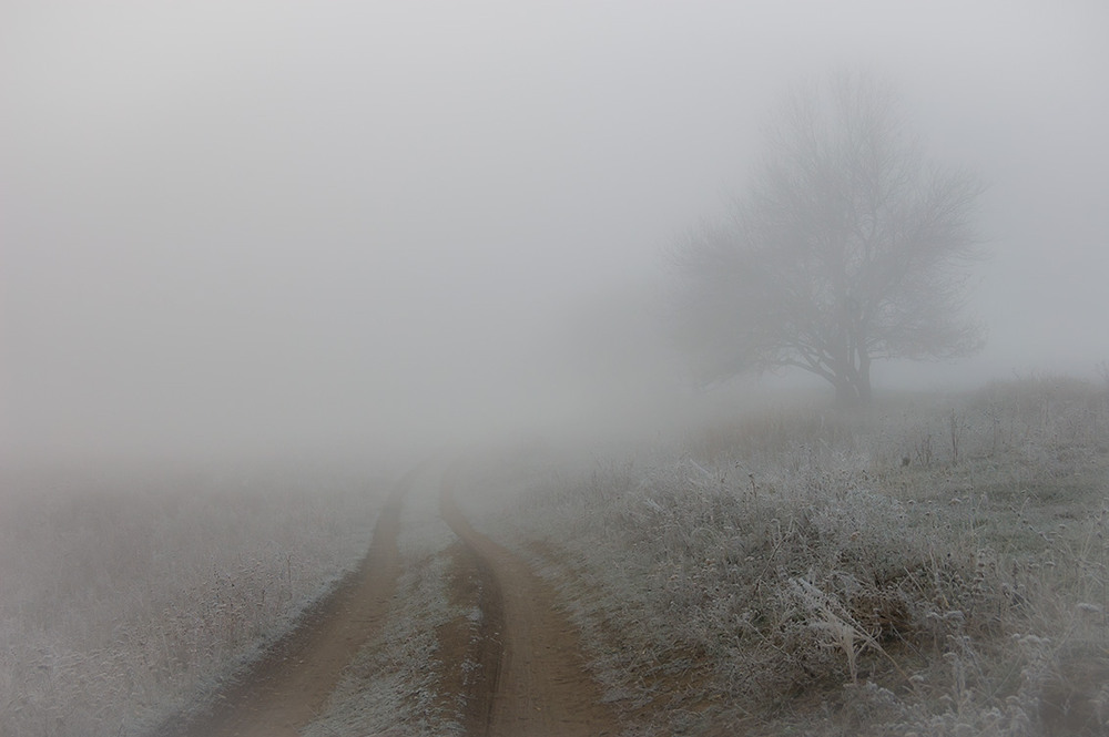 Фотографія *** / Евгений Шамай / photographers.ua