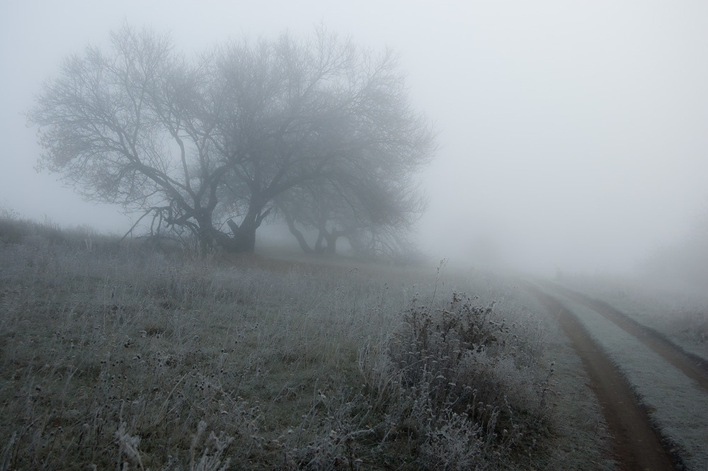 Фотографія *** / Евгений Шамай / photographers.ua
