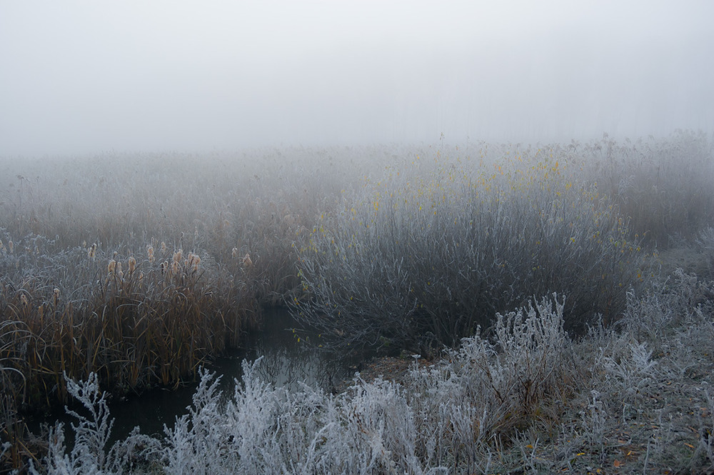 Фотографія *** / Евгений Шамай / photographers.ua
