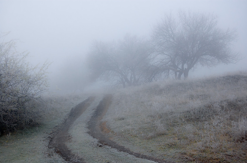 Фотографія *** / Евгений Шамай / photographers.ua