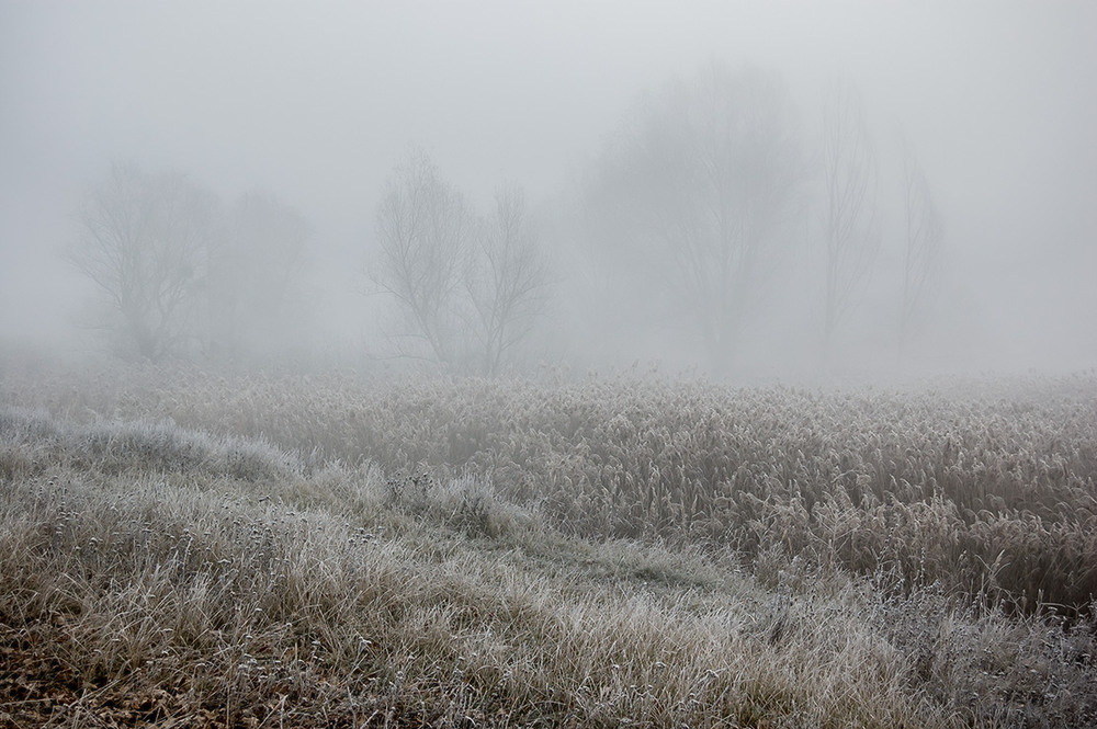 Фотографія *** / Евгений Шамай / photographers.ua