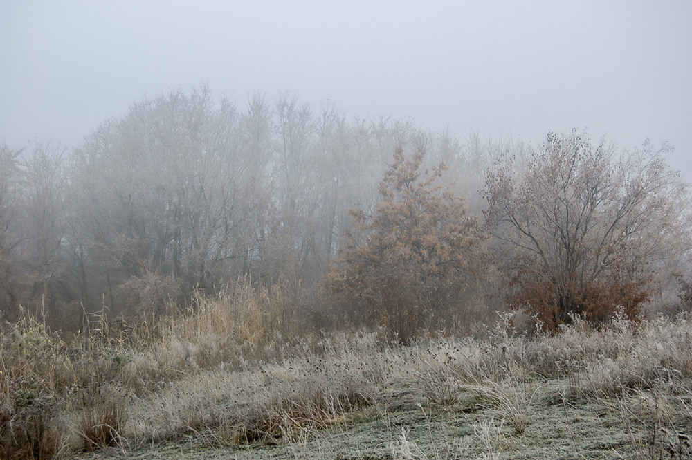 Фотографія *** / Евгений Шамай / photographers.ua