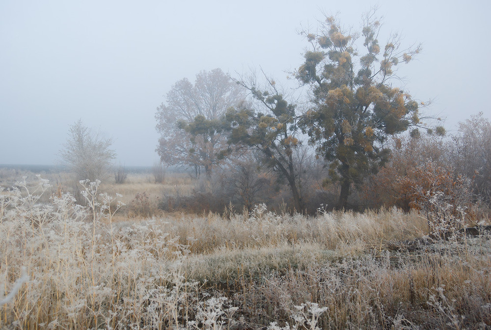 Фотографія *** / Евгений Шамай / photographers.ua