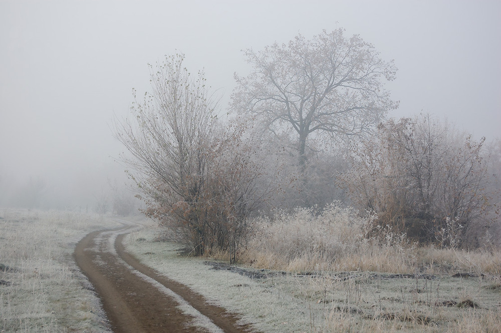 Фотографія *** / Евгений Шамай / photographers.ua