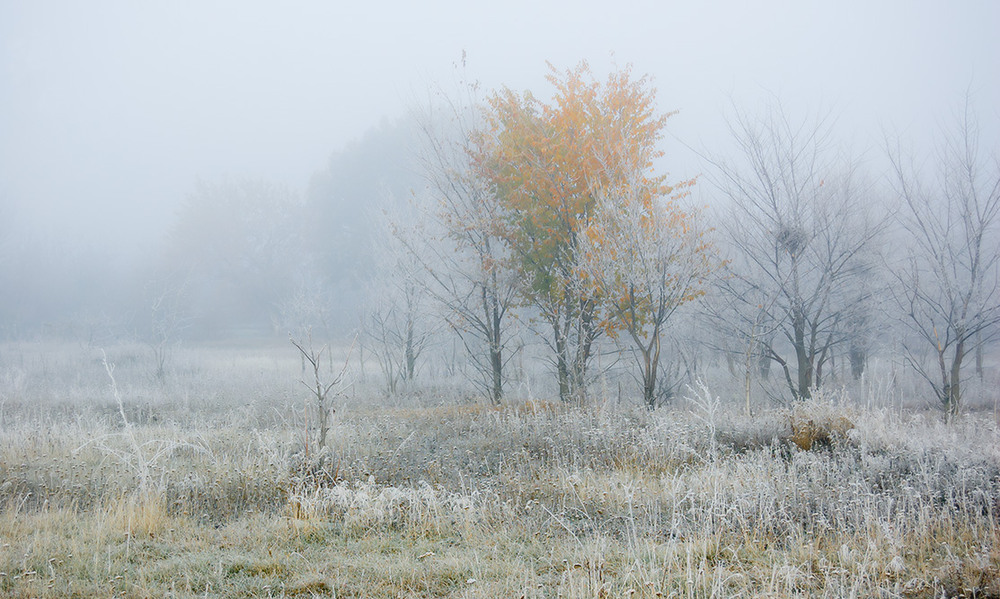 Фотографія *** / Евгений Шамай / photographers.ua