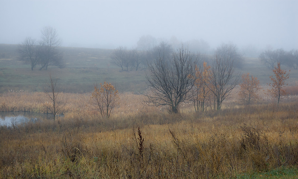 Фотографія *** / Евгений Шамай / photographers.ua