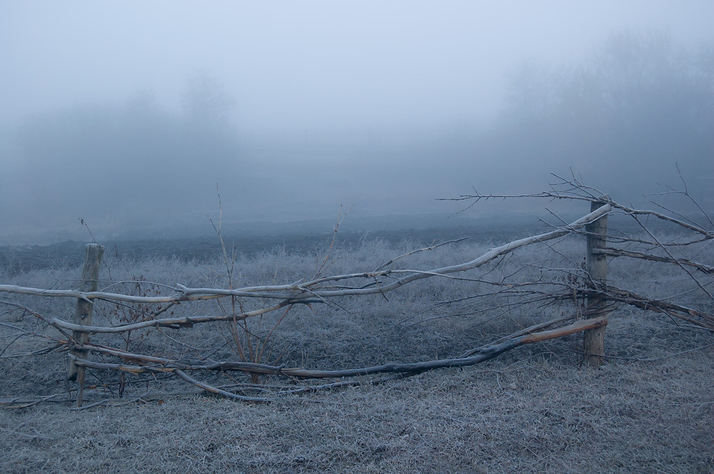Фотографія *** / Евгений Шамай / photographers.ua
