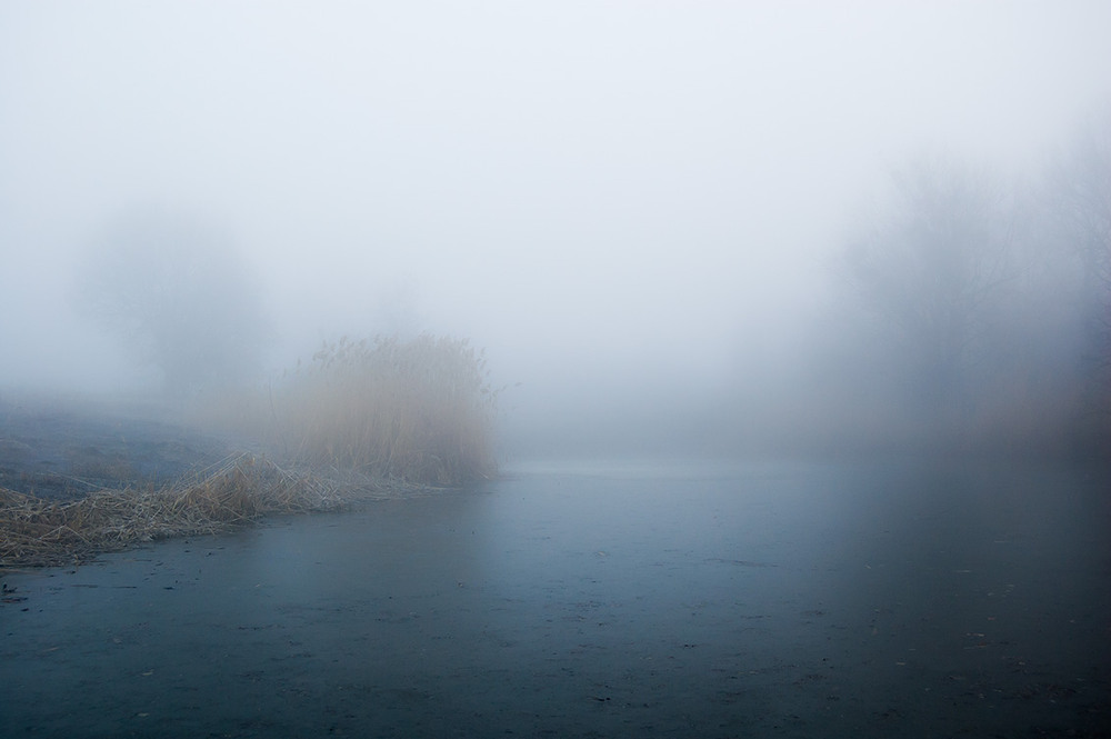 Фотографія *** / Евгений Шамай / photographers.ua