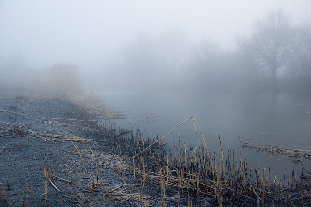 Фотографія *** / Евгений Шамай / photographers.ua