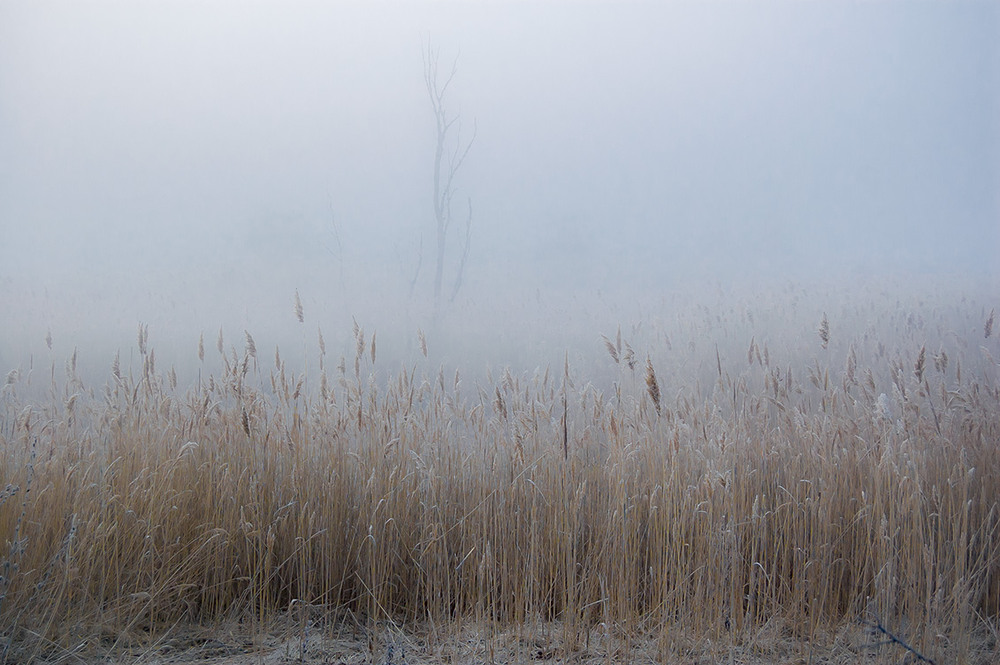 Фотографія *** / Евгений Шамай / photographers.ua