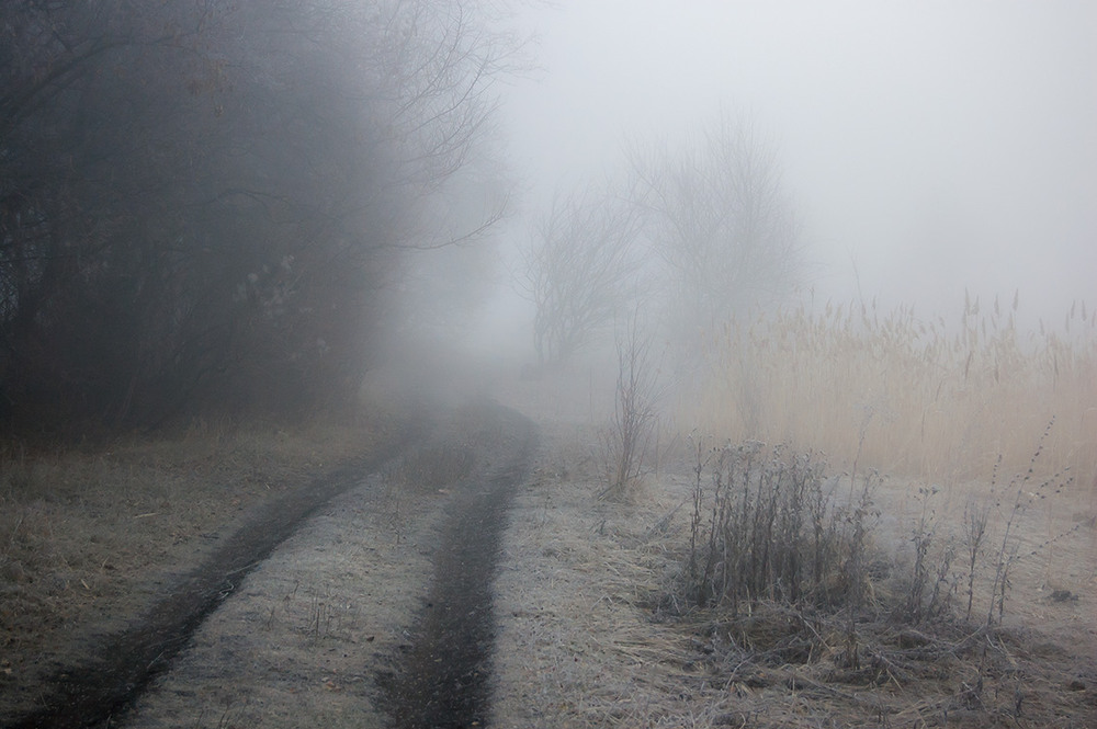 Фотографія *** / Евгений Шамай / photographers.ua