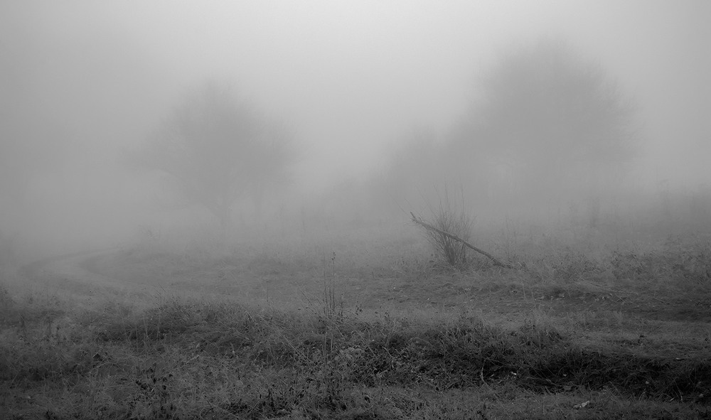 Фотографія *** / Евгений Шамай / photographers.ua