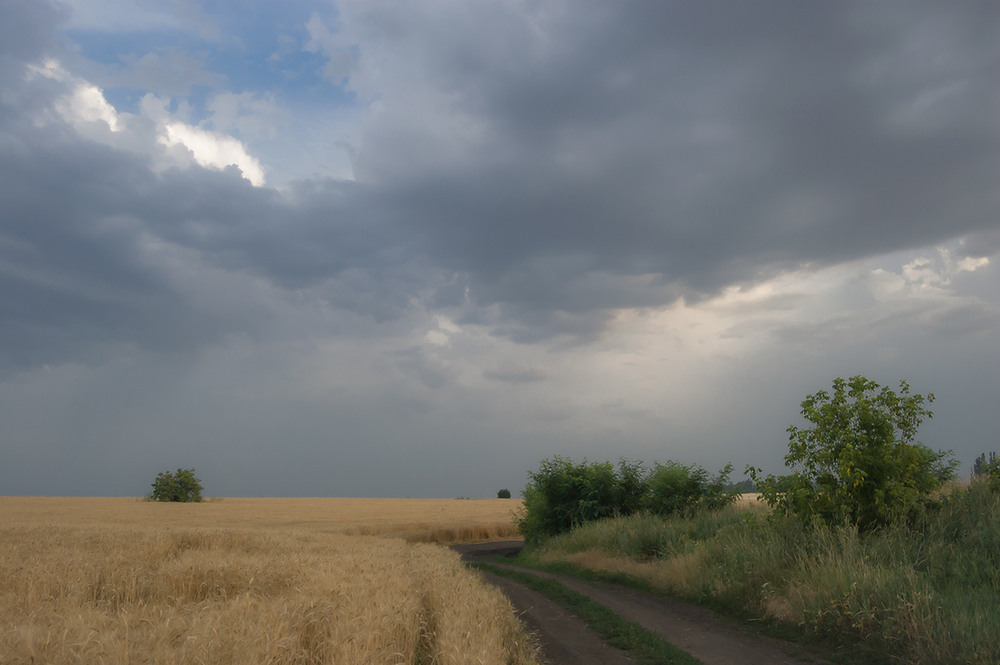 Фотографія *** / Евгений Шамай / photographers.ua