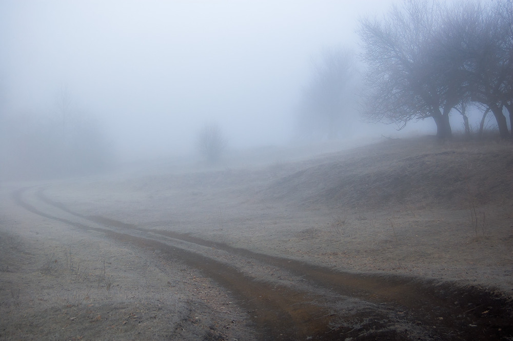 Фотографія *** / Евгений Шамай / photographers.ua
