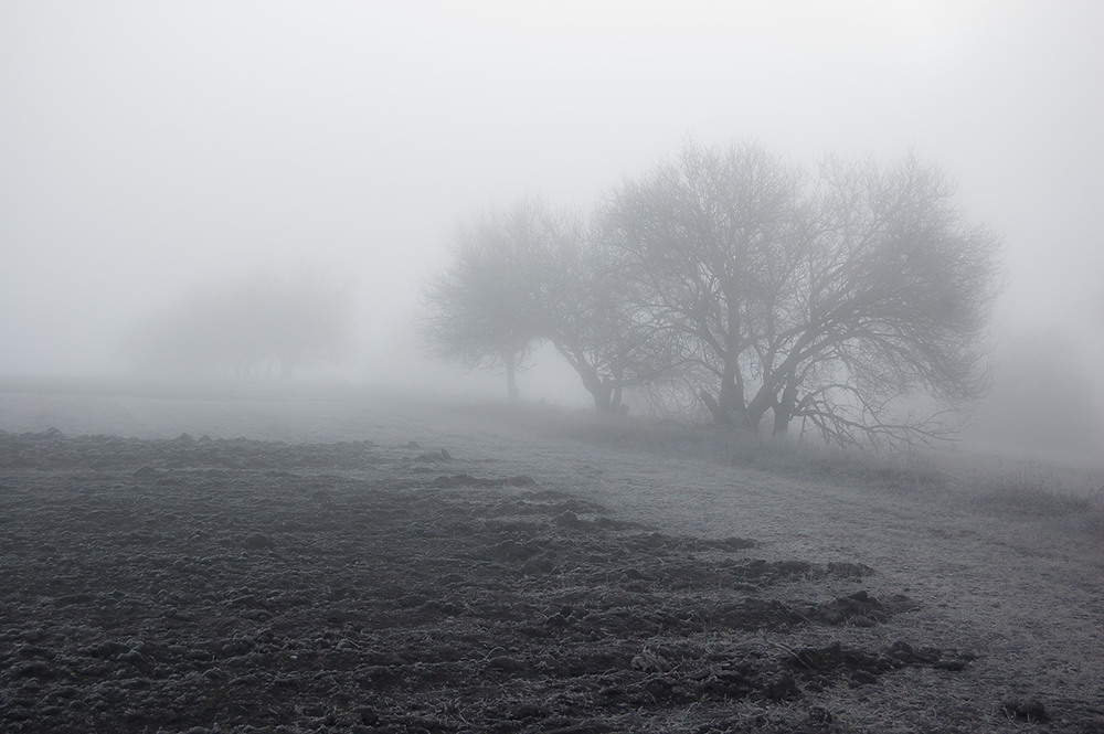 Фотографія *** / Евгений Шамай / photographers.ua